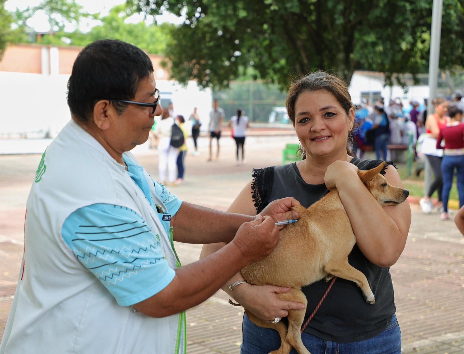 Alcaldía de Neiva avanza en la lucha contra el dengue
